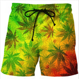 Hot Beach shorts  Quick Dry