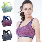 Women's Sport Bra