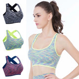 Women's Sport Bra