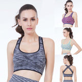 Women's Sport Bra